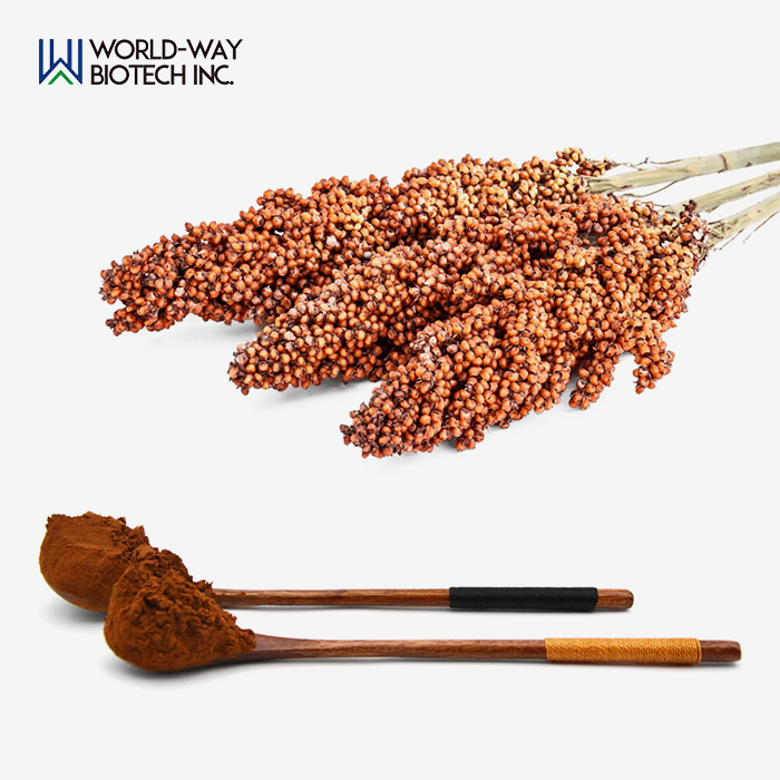 Sorghum Bran Extract Sorghum Bran Extract